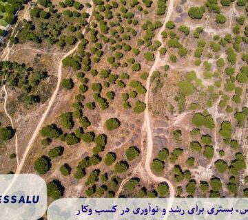چگونه از تغییر کاربری زمین سود ببریم؟