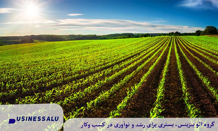 آینده بازار زمین کشاورزی در لاهیجان