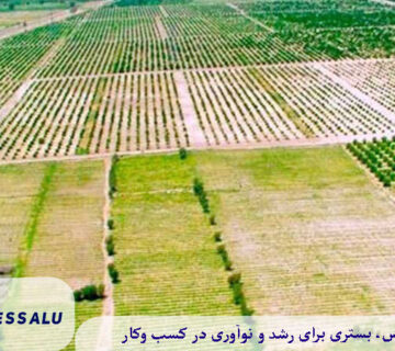 قیمت زمین کشاورزی در لاهیجان