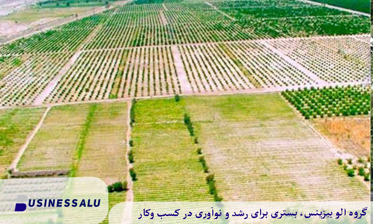 قیمت زمین کشاورزی در لاهیجان