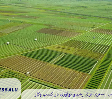 مقایسه قیمت زمین کشاورزی در لاهیجان با مناطق همجوار
