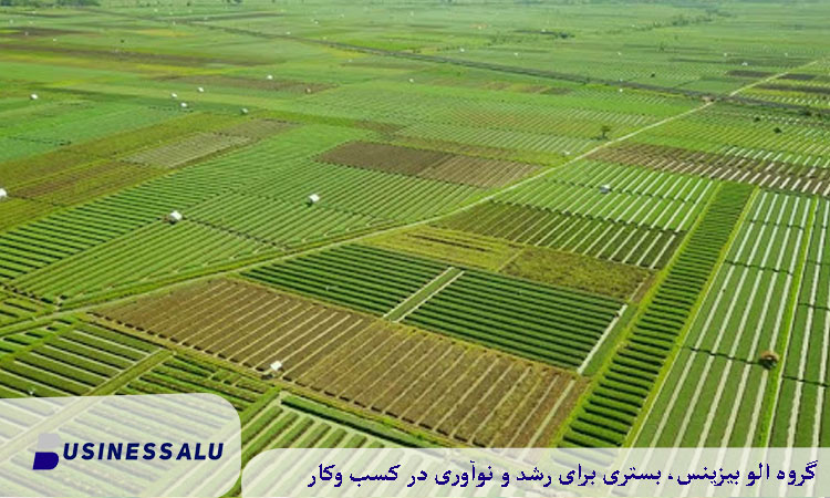 مقایسه قیمت زمین کشاورزی در لاهیجان با مناطق همجوار