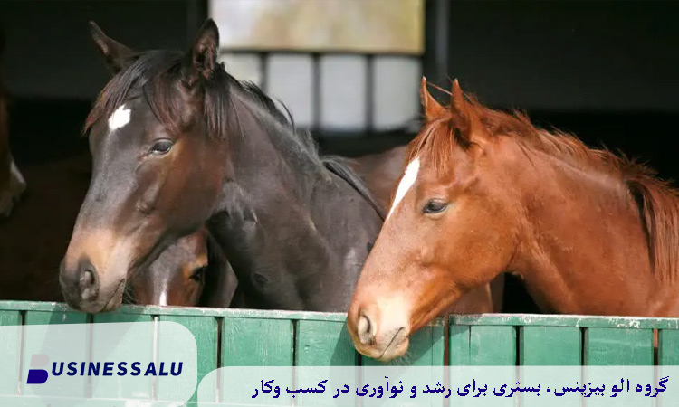 امکانات و تجهیزات پانسیون شاتوت