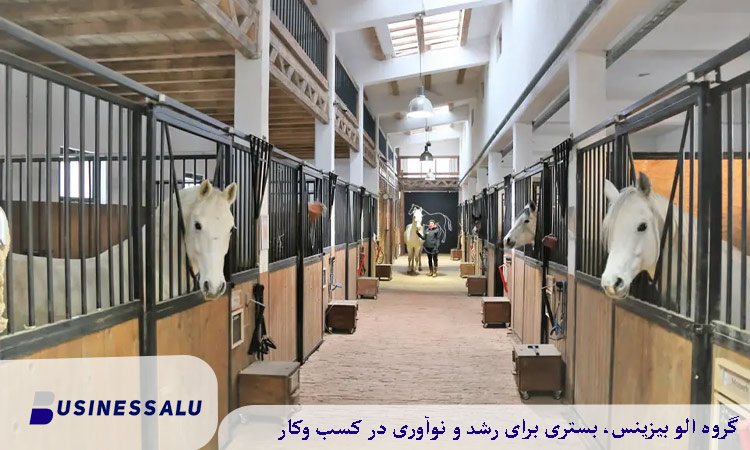 سوارکاری و تفریحات خاص شاتوت گیلان